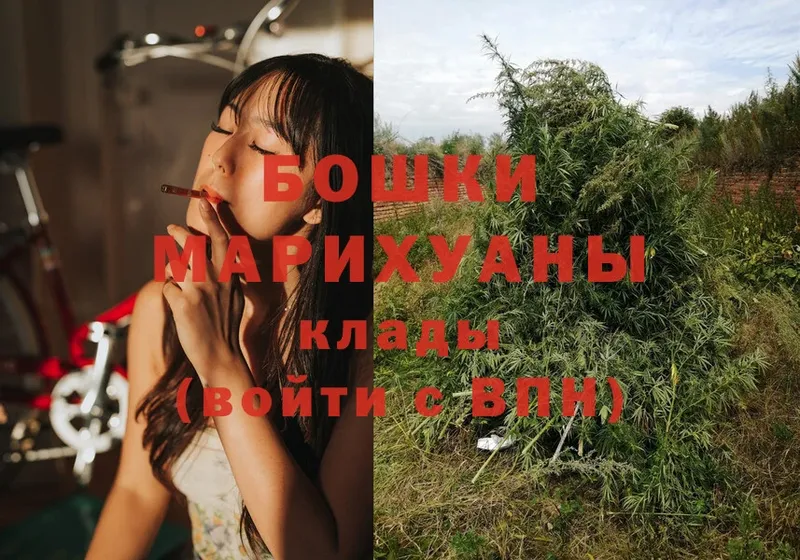 дарнет шоп  маркетплейс какой сайт  Конопля SATIVA & INDICA  Гдов 